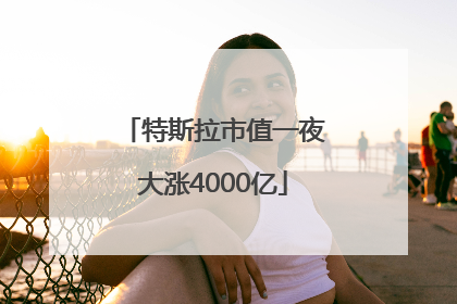 特斯拉市值一夜大涨4000亿